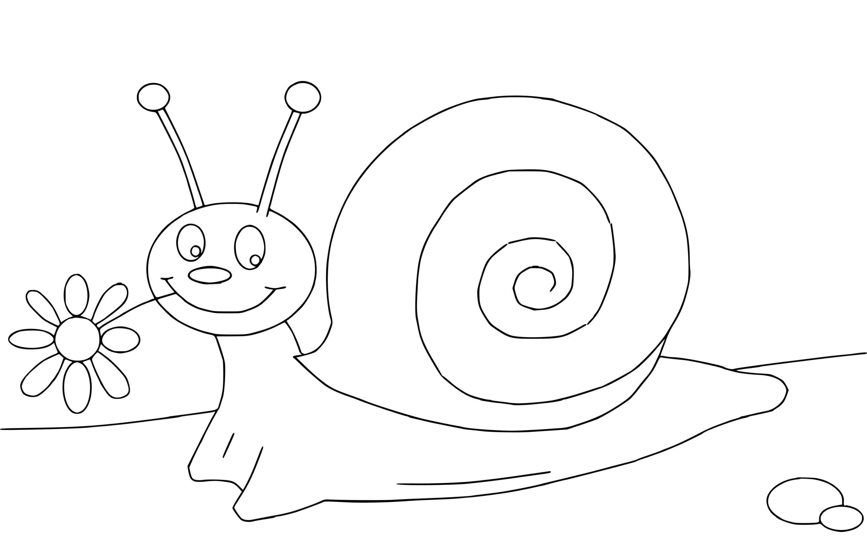 Coloriage Escargot Maternelle Cp1 Avec Une Fleur - Escargot à imprimer