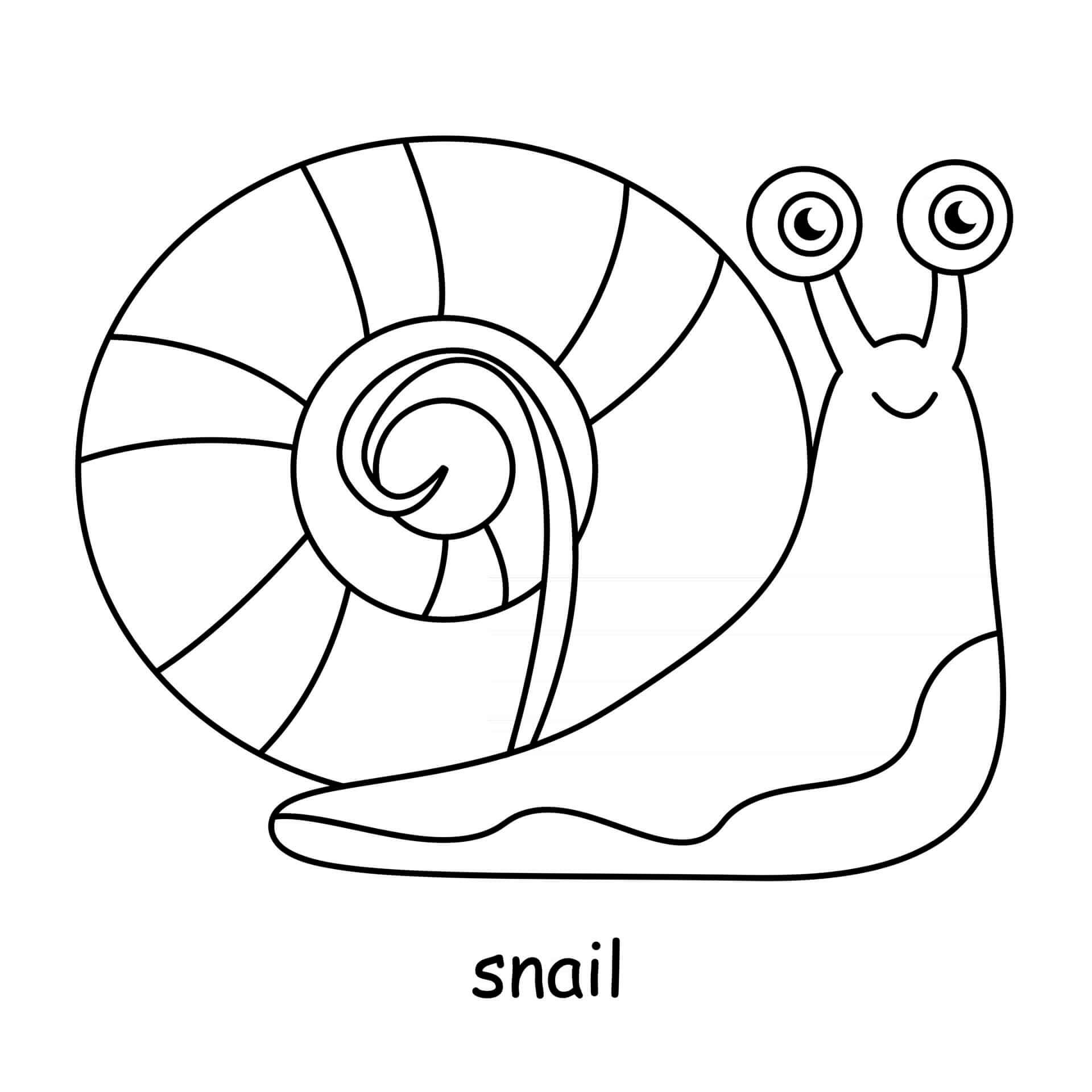 Coloriage Escargot Mignon - Animal à imprimer