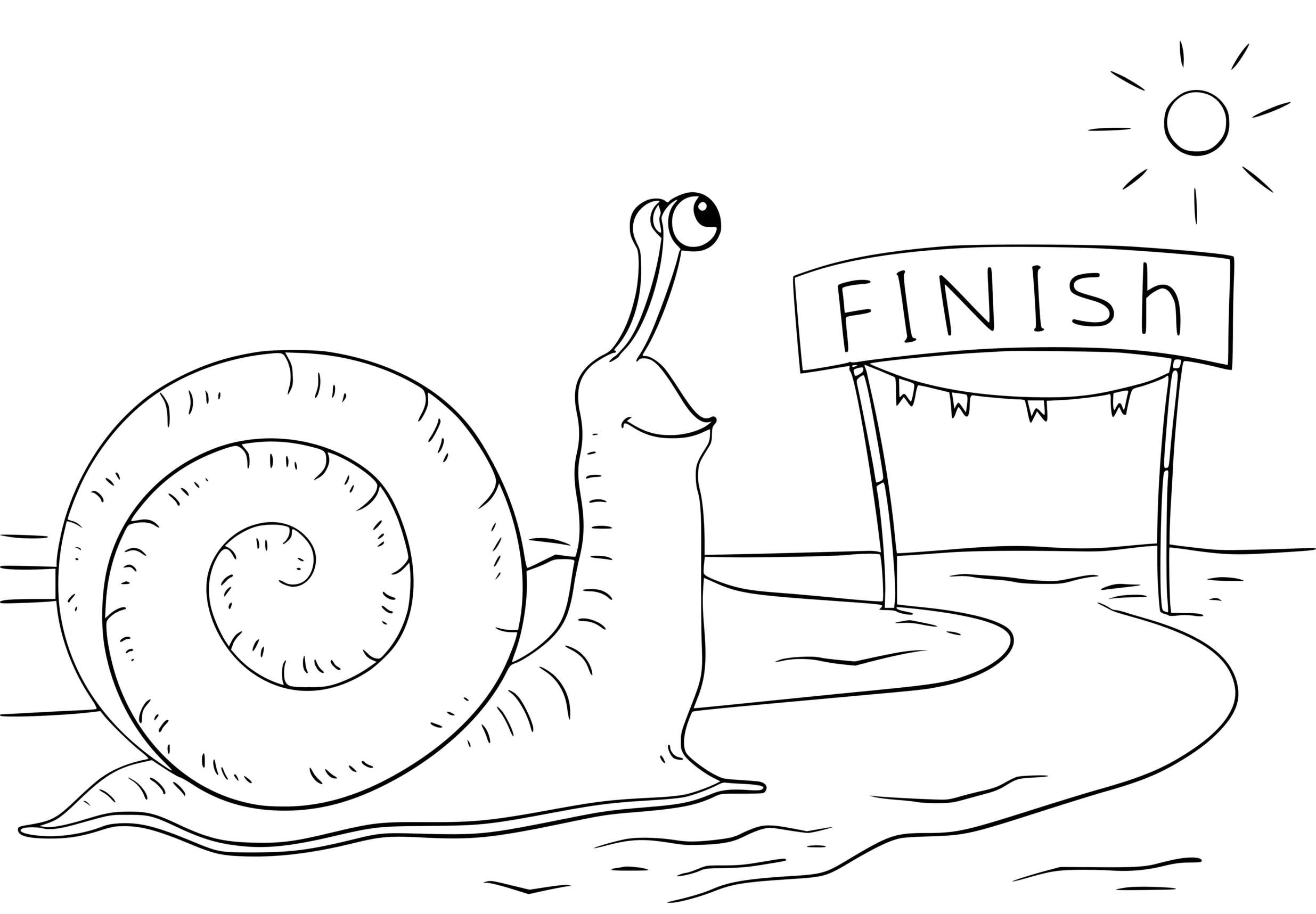 Coloriage Escargot Petasina Unidentata - Escargot à imprimer
