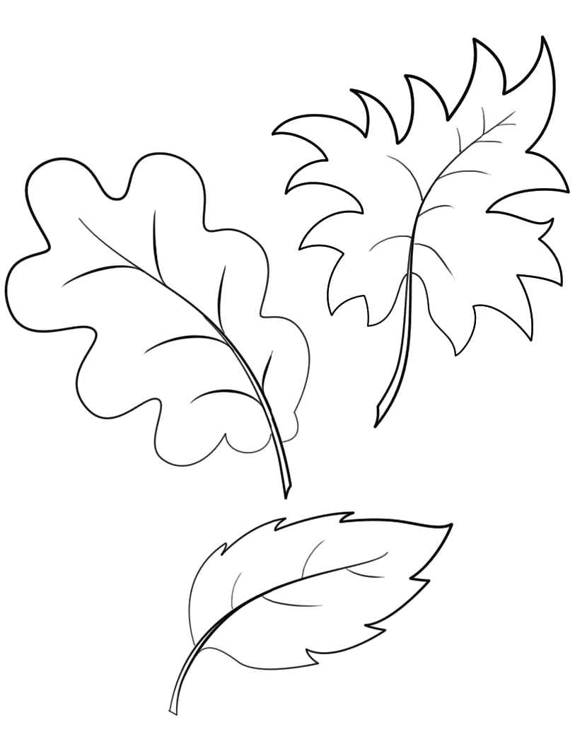 Coloriage Fall Automne Feuilles - Feuille automne à imprimer