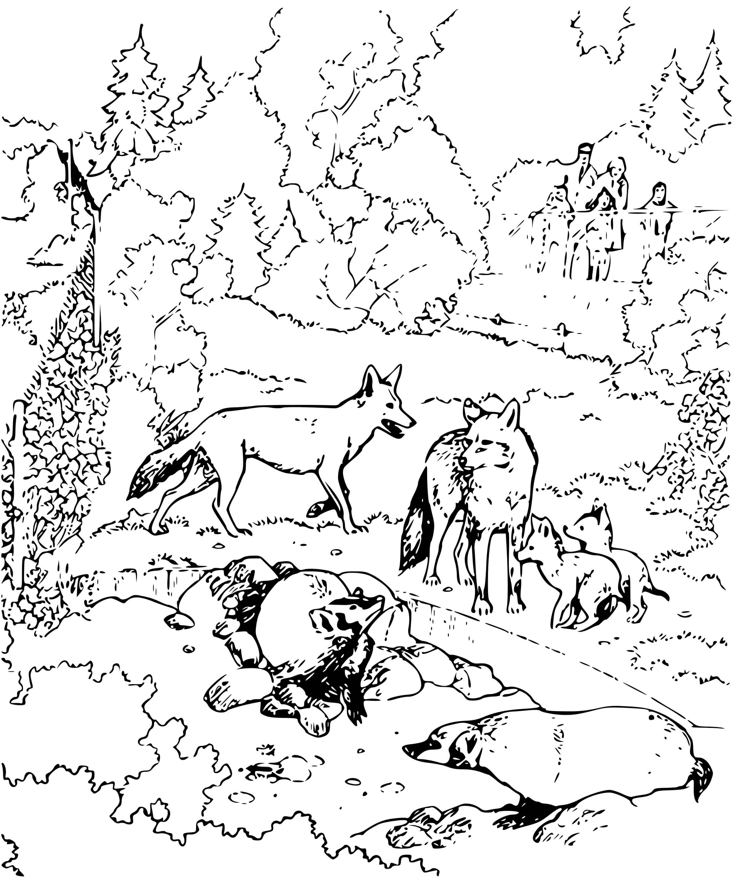 Coloriage Famille De Loups Dans Un Zoo Parc Animaux - Loup à imprimer