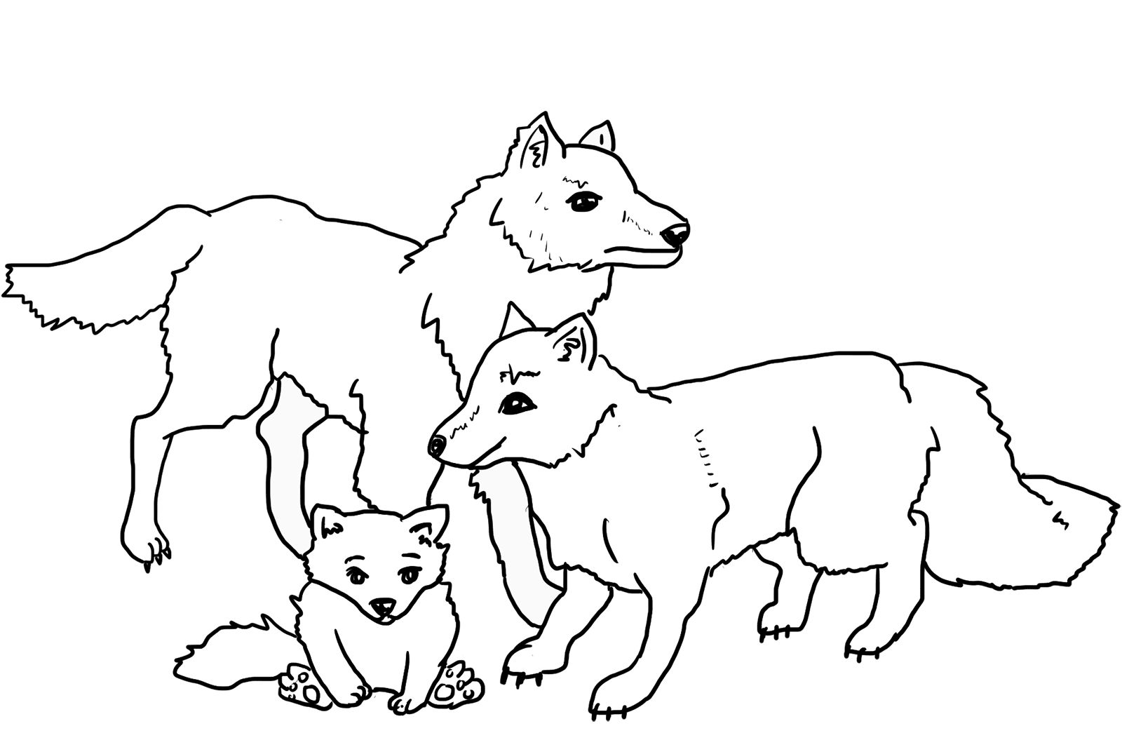 Coloriage Famille De Loups - Loup à imprimer