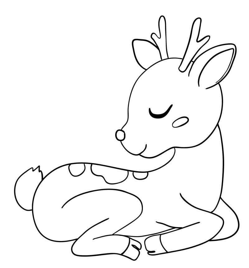 Coloriage Faon Facile Au Repos - Cerf biche faon à imprimer