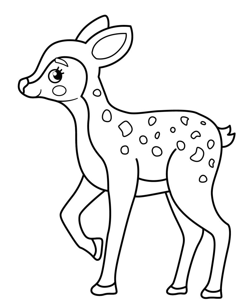 Coloriage Faon Petit Animal Mignon - Cerf biche faon à imprimer