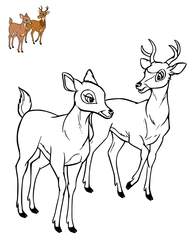 Coloriage Feline Et Bambi Adulte - Bambi à imprimer