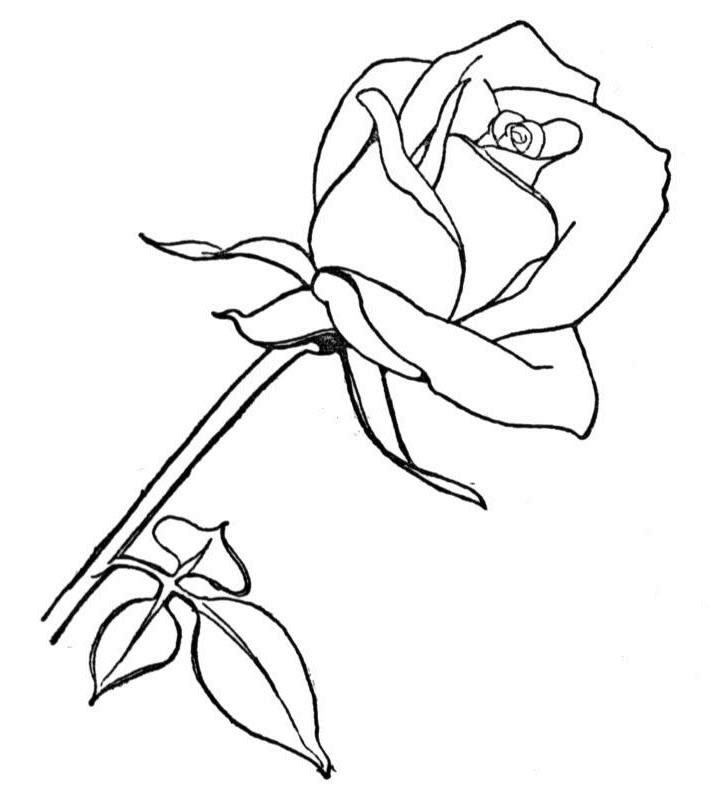 Coloriage Bouquet floral pour la Fête des Mères - Fête des mères à imprimer