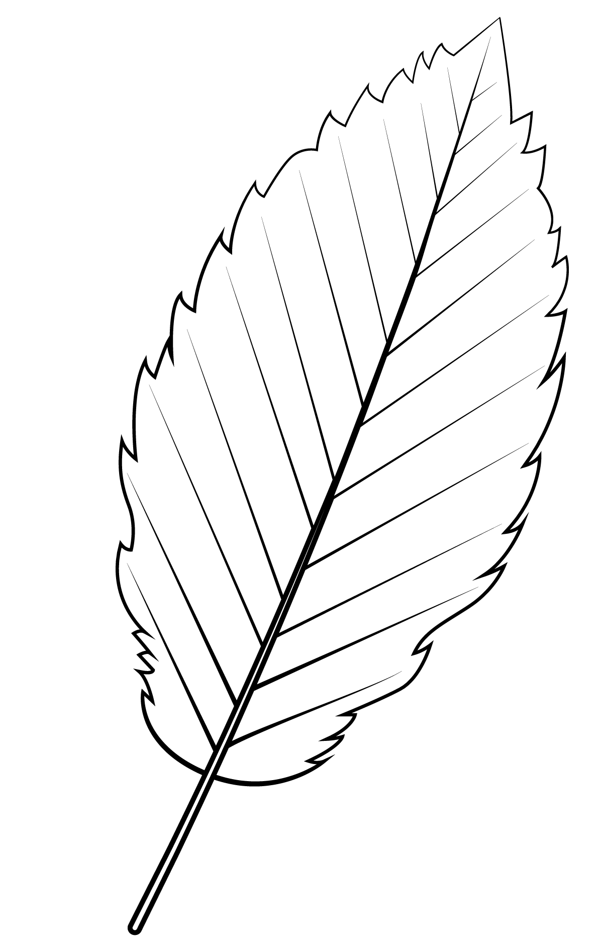 Coloriage Feuille Aulne Rouge - Feuille automne à imprimer