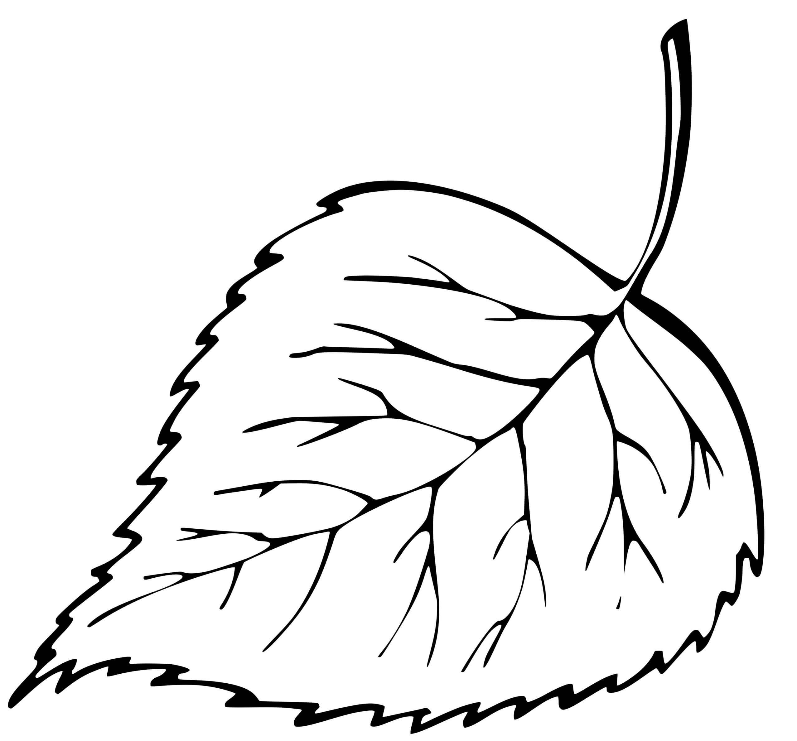 Coloriage Feuille Automne Jaune - Feuille automne à imprimer