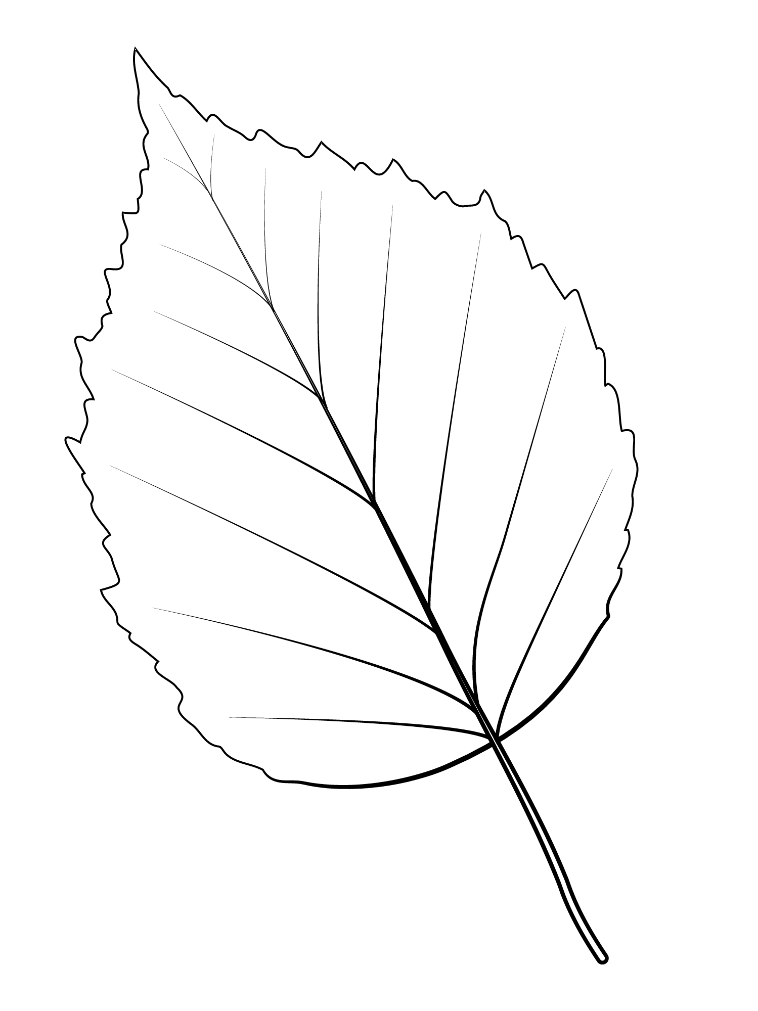 Coloriage Feuille De Bouleau En Papier - Feuille automne à imprimer