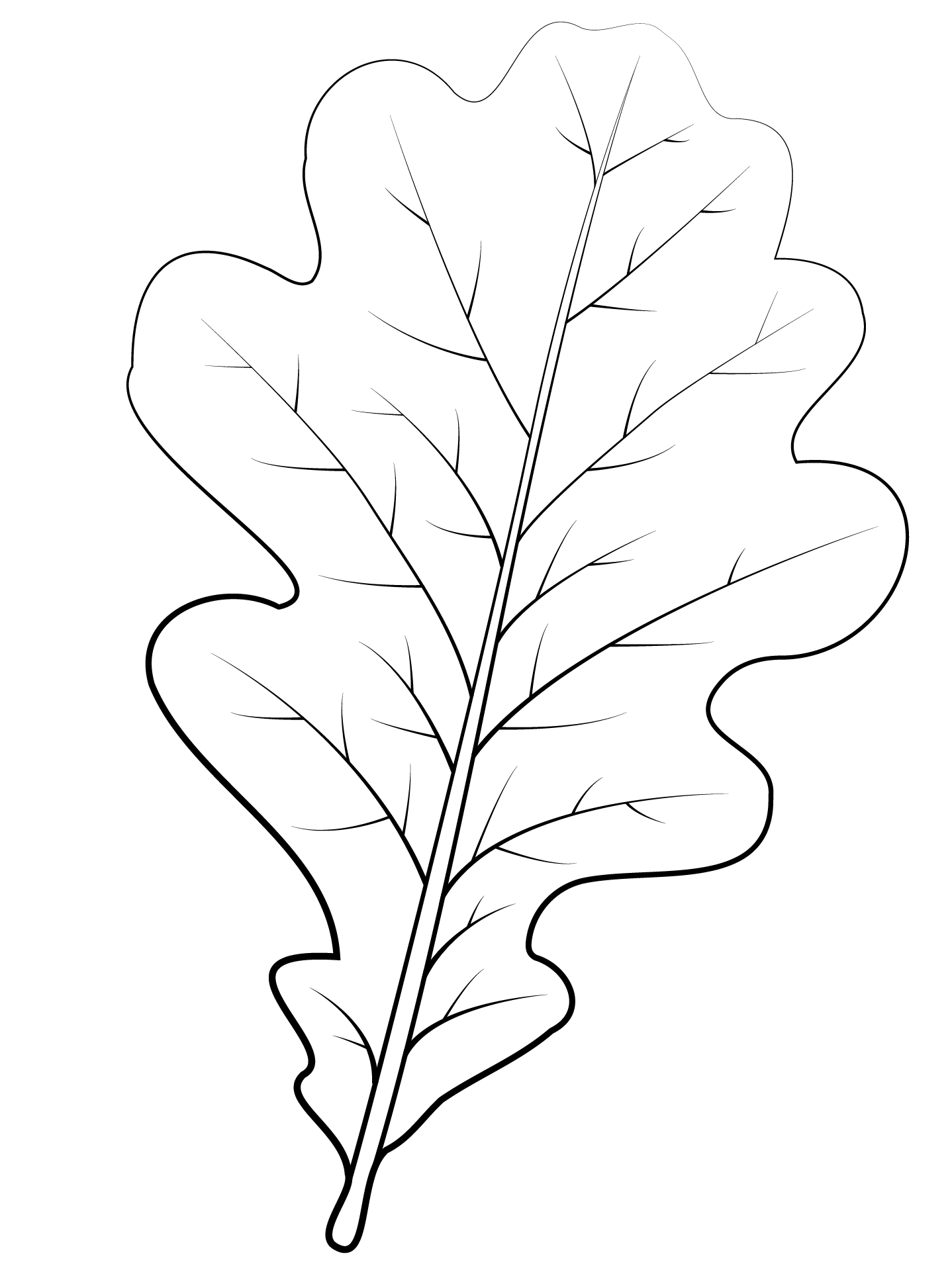 Coloriage Feuille De Chene Anglais - Feuille automne à imprimer