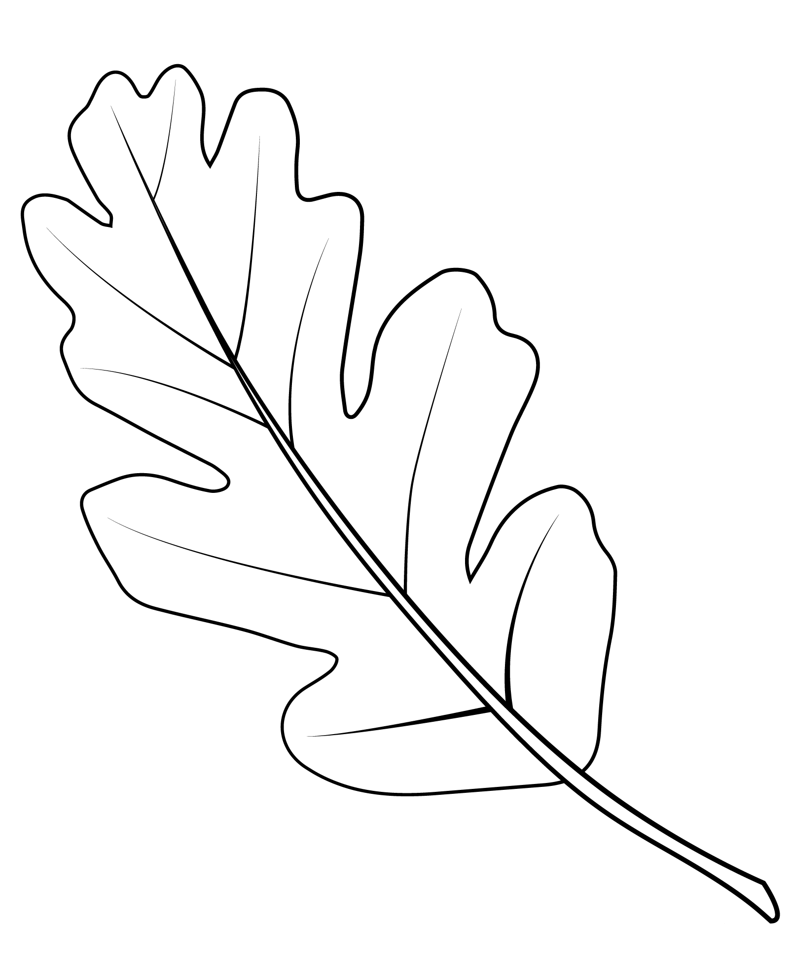 Coloriage Feuille De Chene De La Vallee - Feuille automne à imprimer