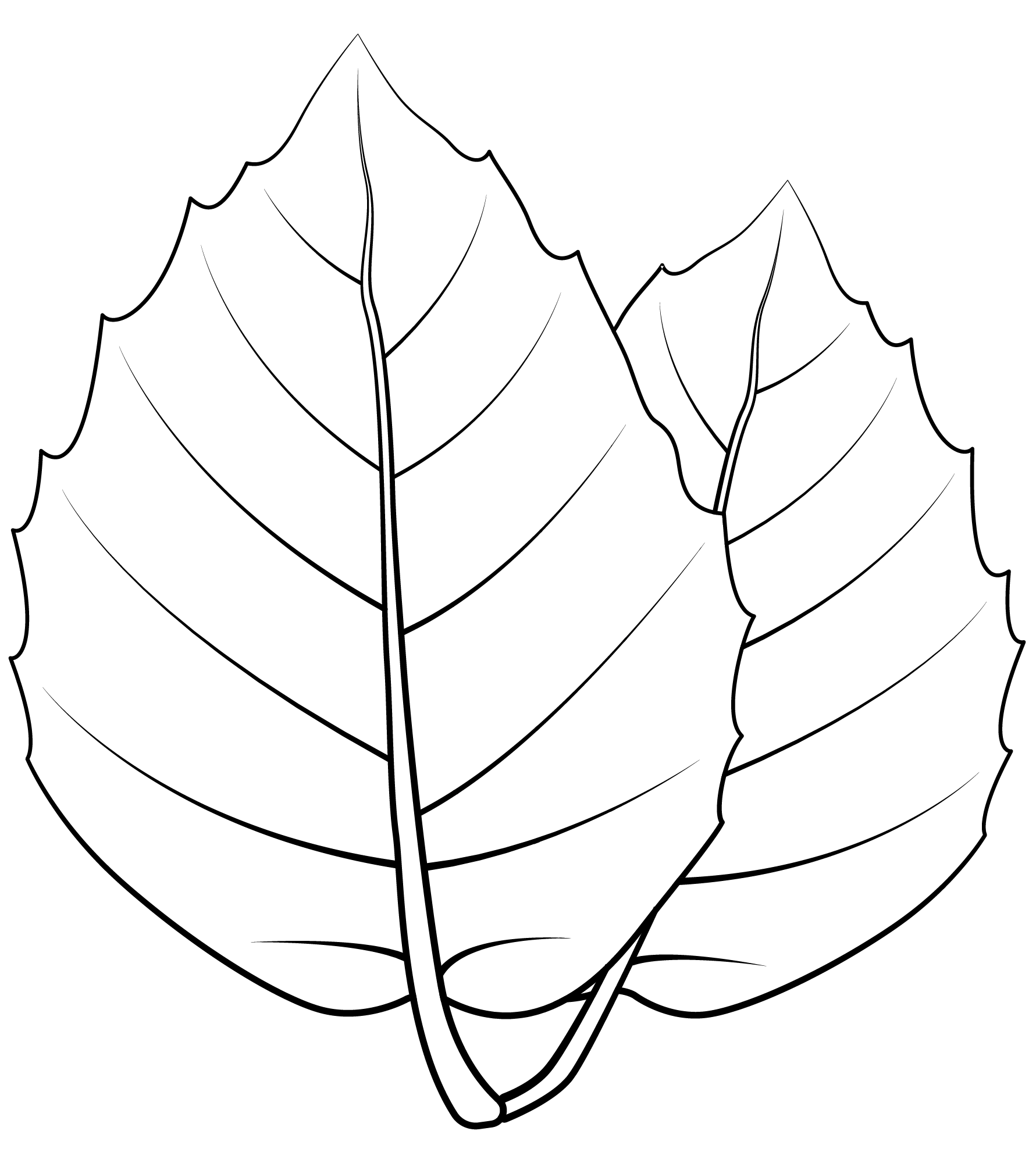 Coloriage Feuille De Chene Doree - Feuille automne à imprimer