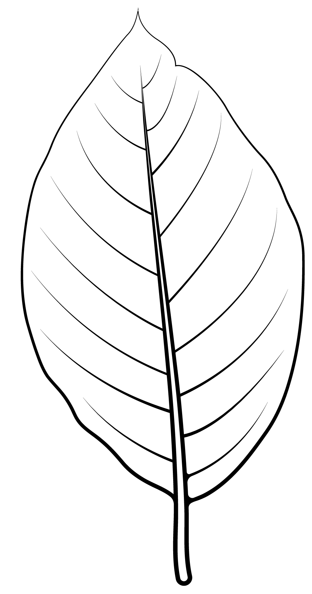 Coloriage Feuille De Concombre - Feuille automne à imprimer