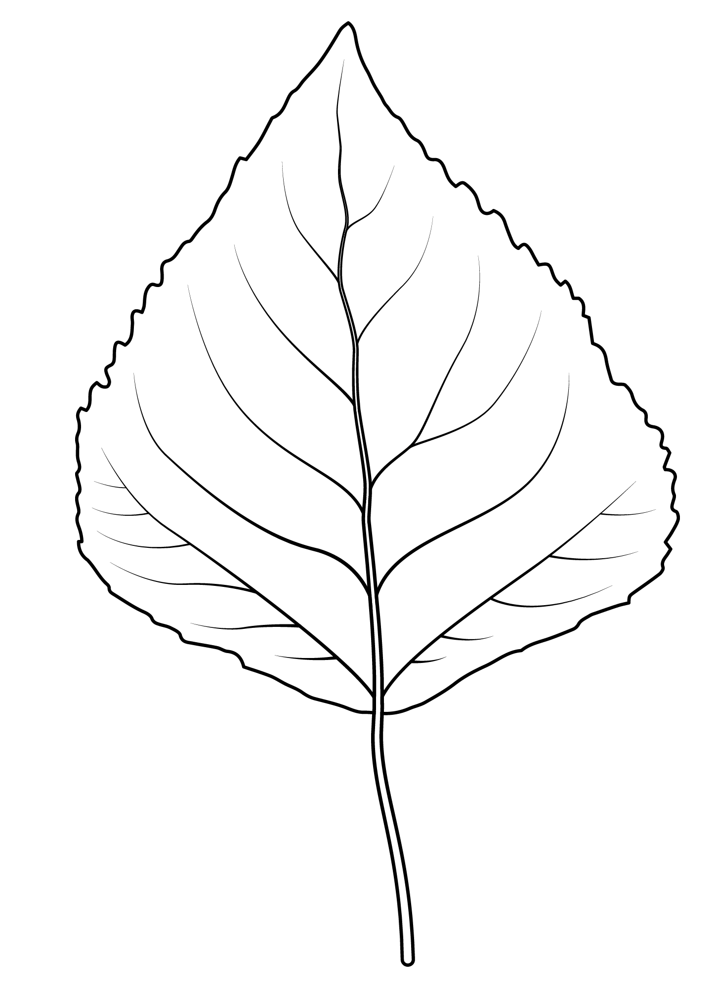 Coloriage Feuille De Peuplier Faux Tremble - Feuille automne à imprimer