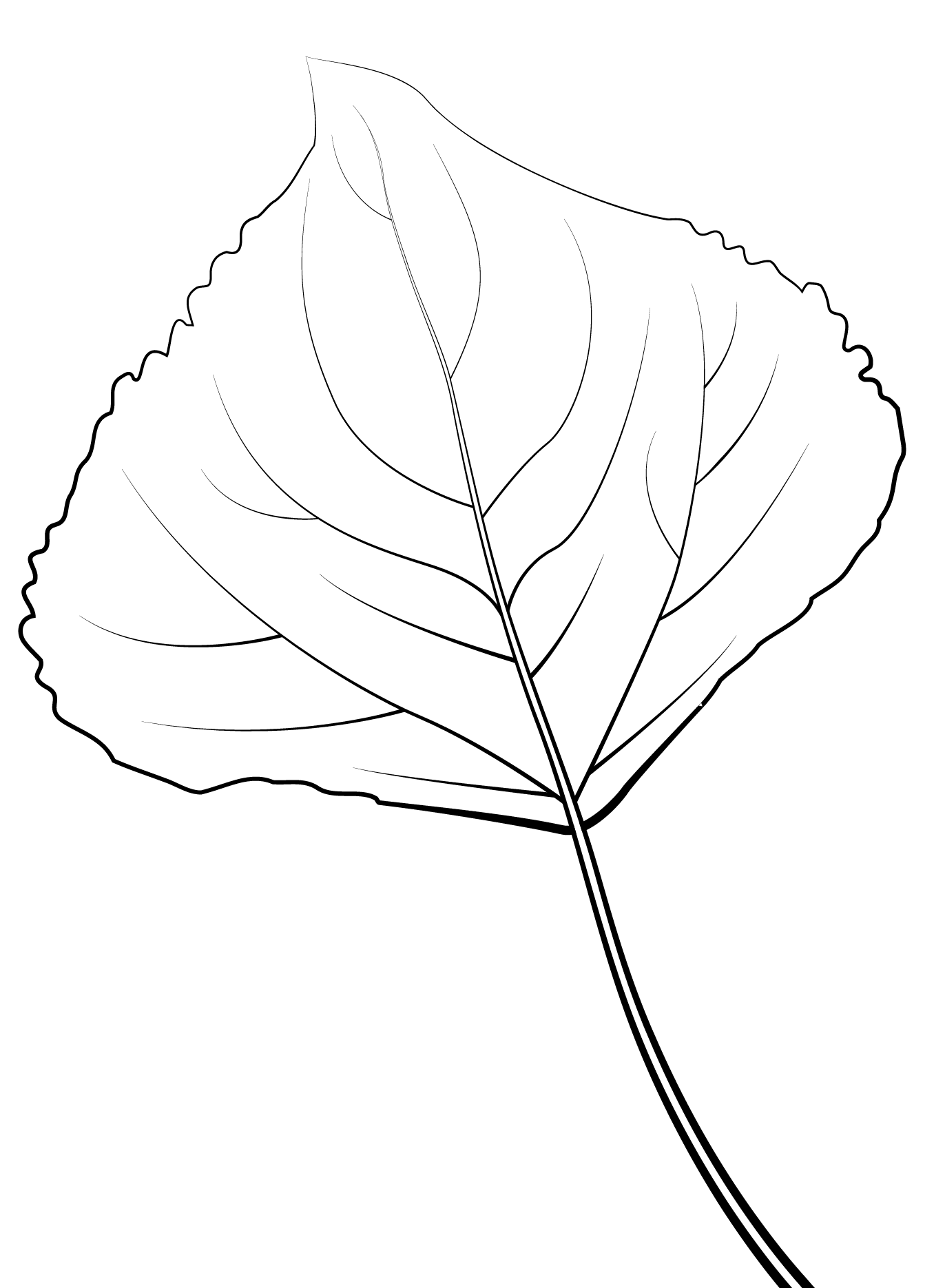 Coloriage Feuille De Peuplier Lombard - Feuille automne à imprimer