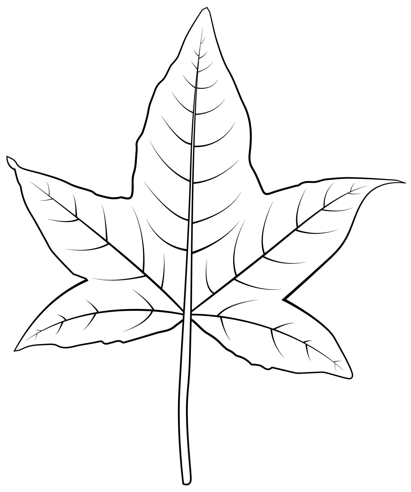 Coloriage Feuille De Prunier - Feuille automne à imprimer