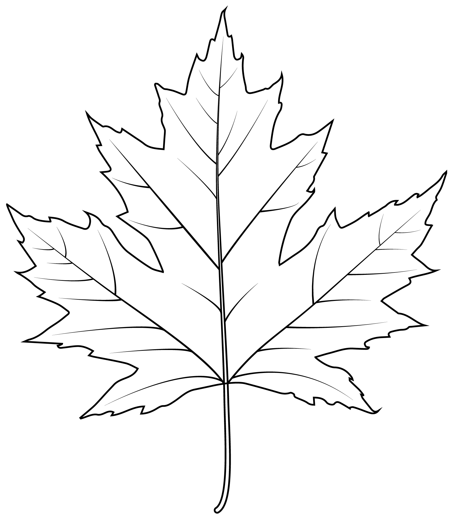 Coloriage Feuille Érable Argentee - Feuille automne à imprimer