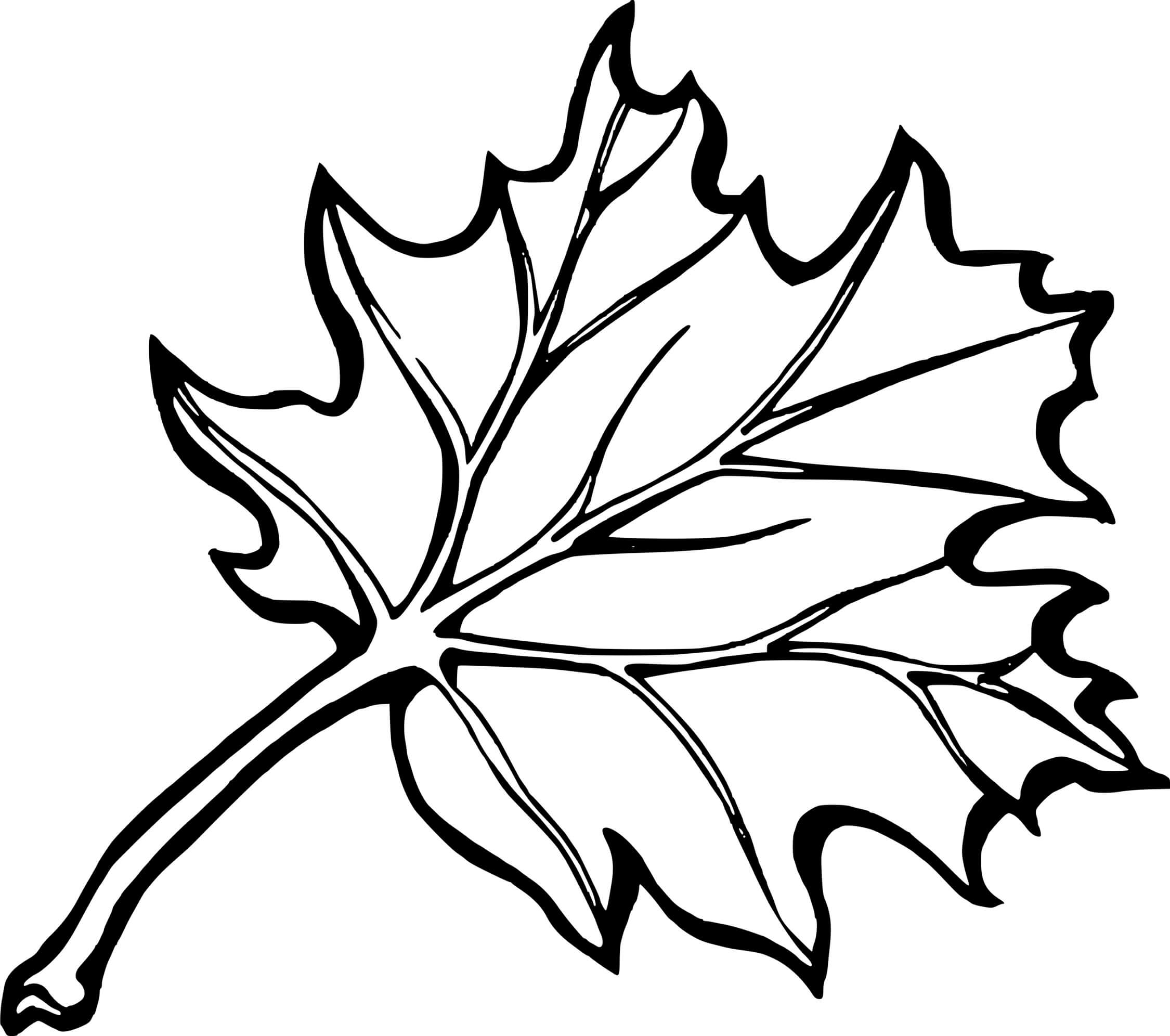 Coloriage Feuille Érable Automne Canada - Feuille automne à imprimer