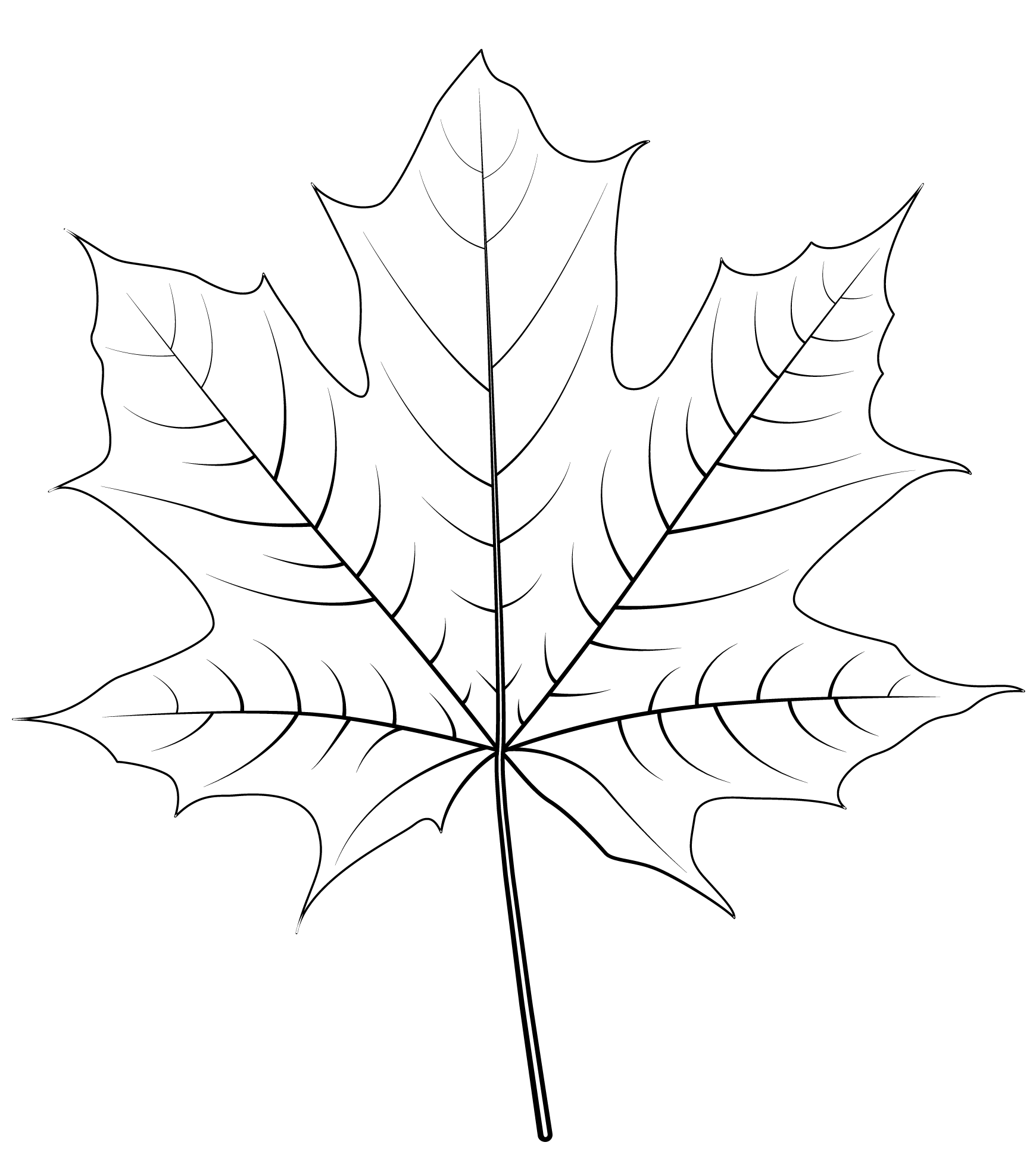 Coloriage Feuille Érable De Norvege - Feuille automne à imprimer
