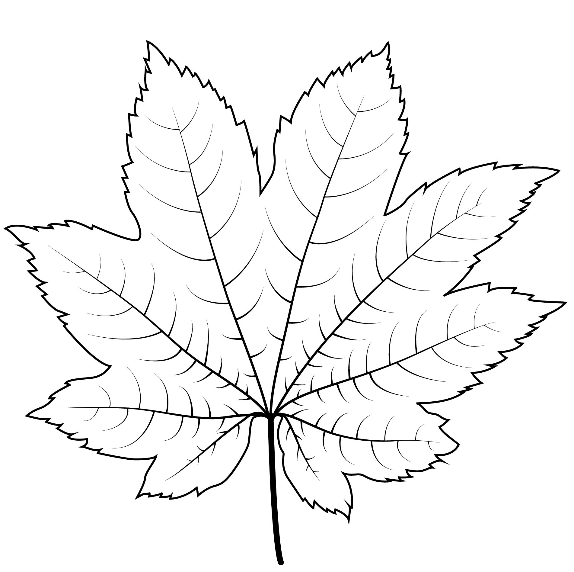 Coloriage Feuille Érable De Vigne - Feuille automne à imprimer