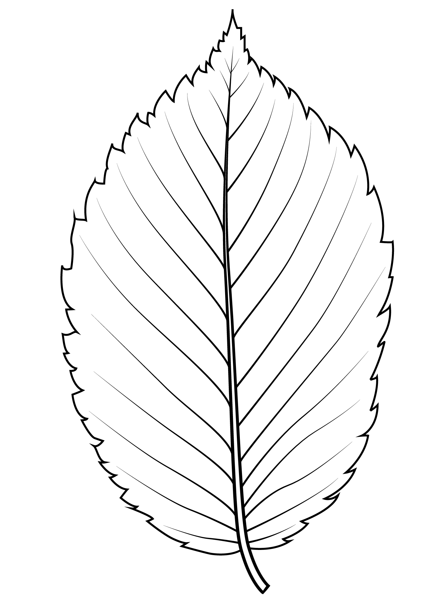 Coloriage Feuille automne