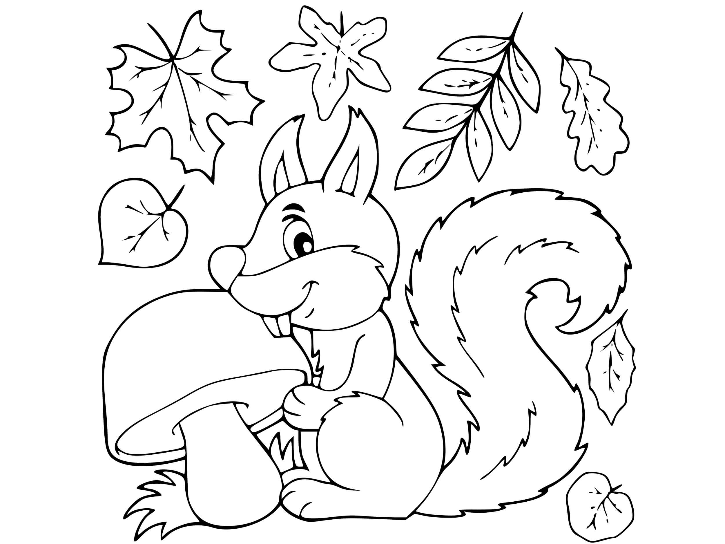 Coloriage Feuilles Automne Écureuil - Feuille automne à imprimer