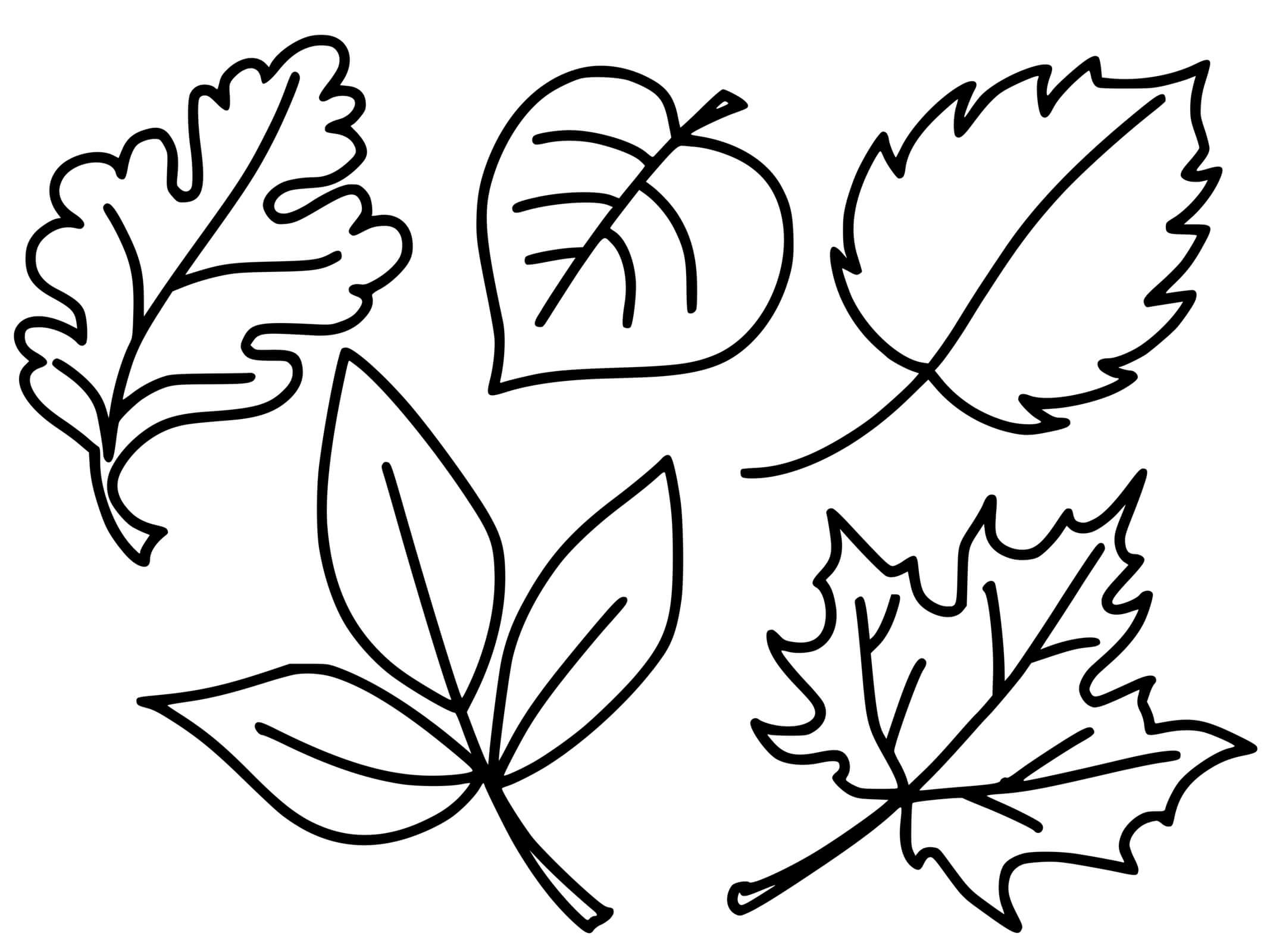 Coloriage Feuilles De La Saison Automne - Feuille automne à imprimer