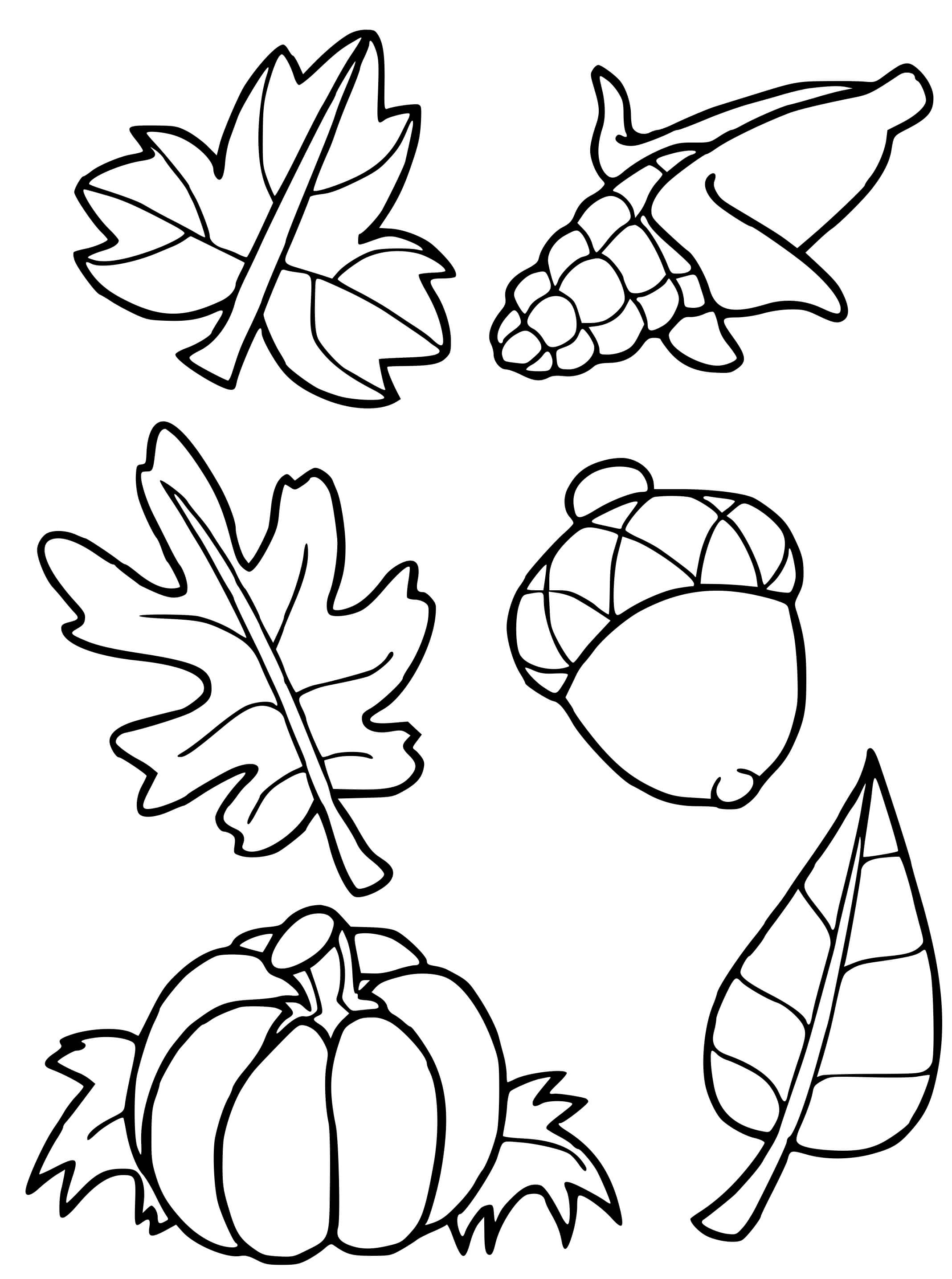 Coloriage Feuilles Mais Citrouille Automne Octobre - Automne à imprimer