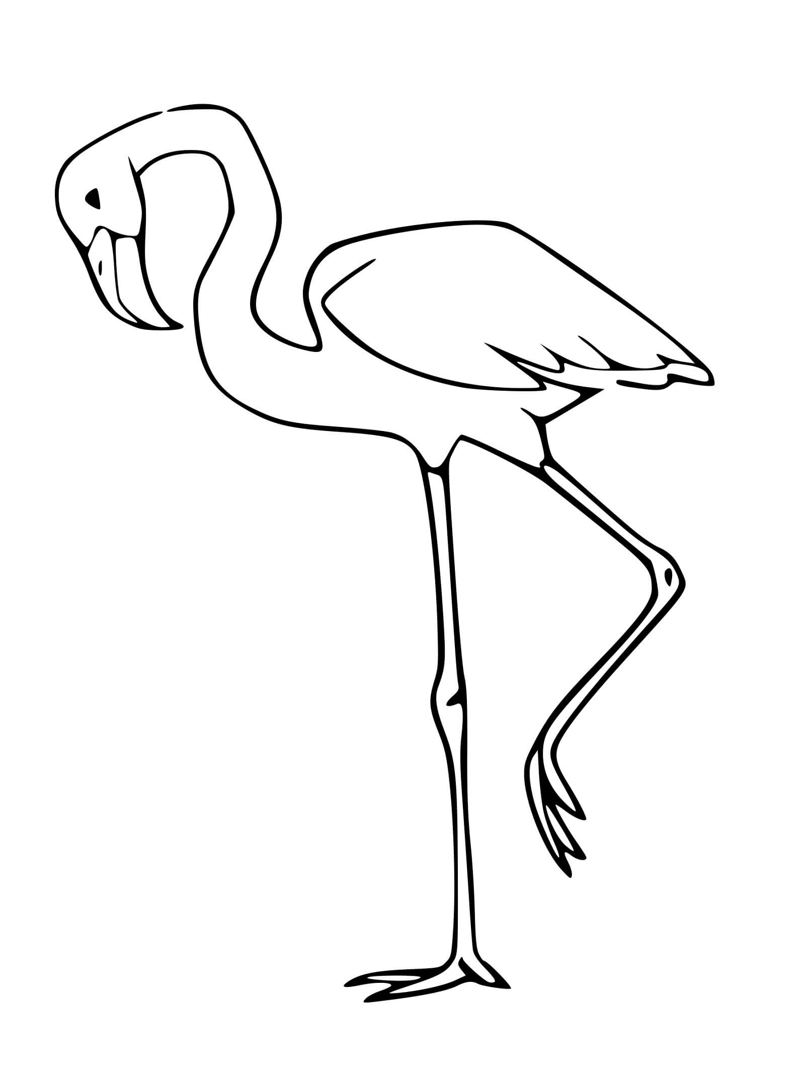 Coloriage Flamant Rose Qui Marche - Flamant rose à imprimer