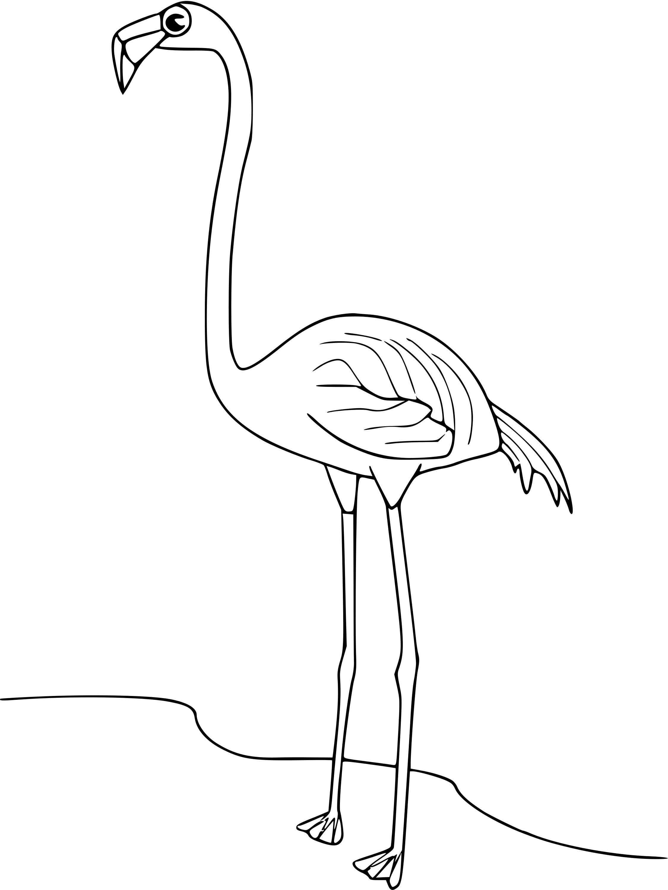 Coloriage Flamant - Oiseau à imprimer