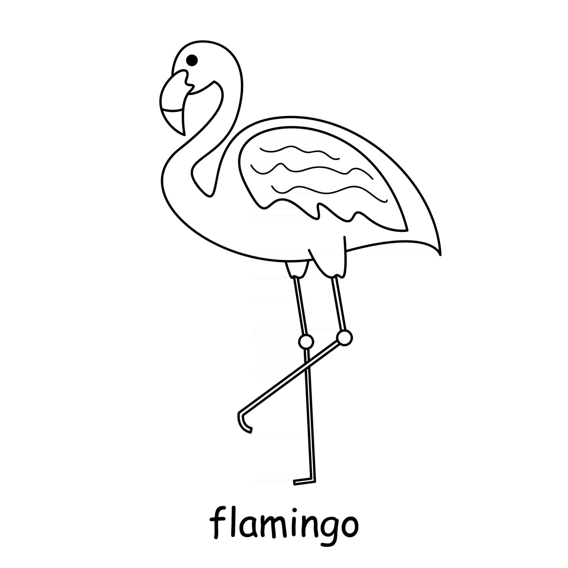 Coloriage Flamingo - Animal à imprimer