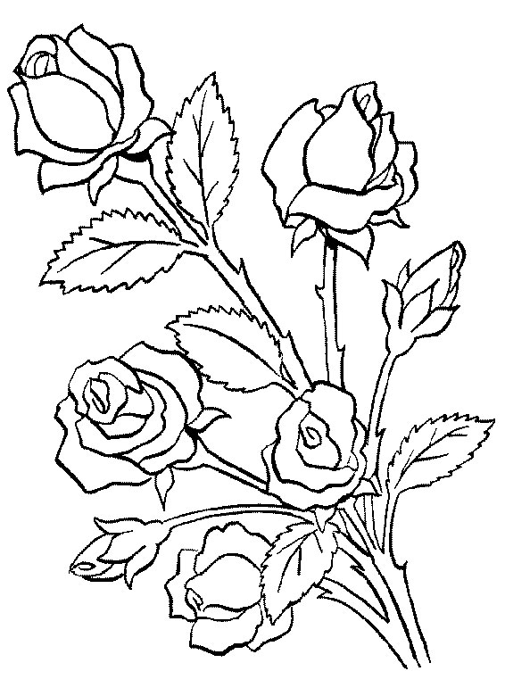 Coloriage Fleur Adulte - Fleurs à imprimer