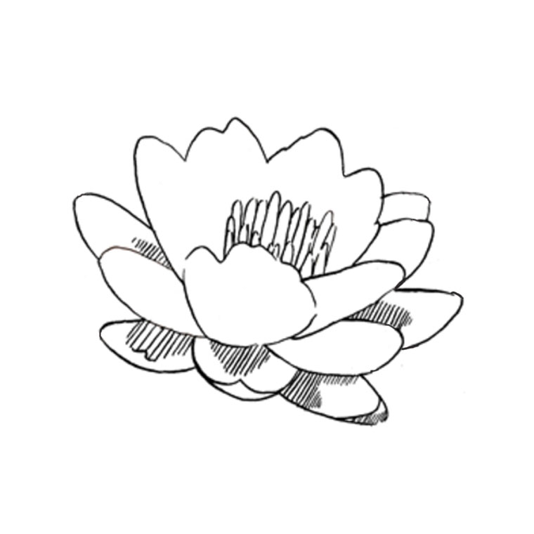 Coloriage Fleur De Lotus - Fleurs à imprimer