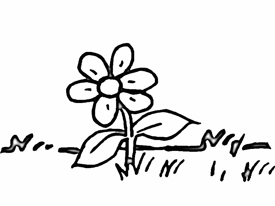 Coloriage Fleur Marguerite - Fleurs à imprimer