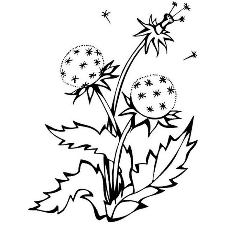 Coloriage Fleur Montagne - Fleurs à imprimer