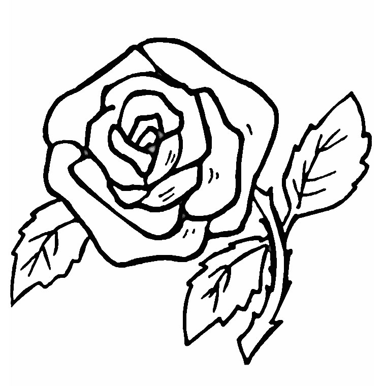 Coloriage Fleur Rose - Fleurs à imprimer