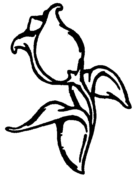 Coloriage Fleur Tulipe - Fleurs à imprimer