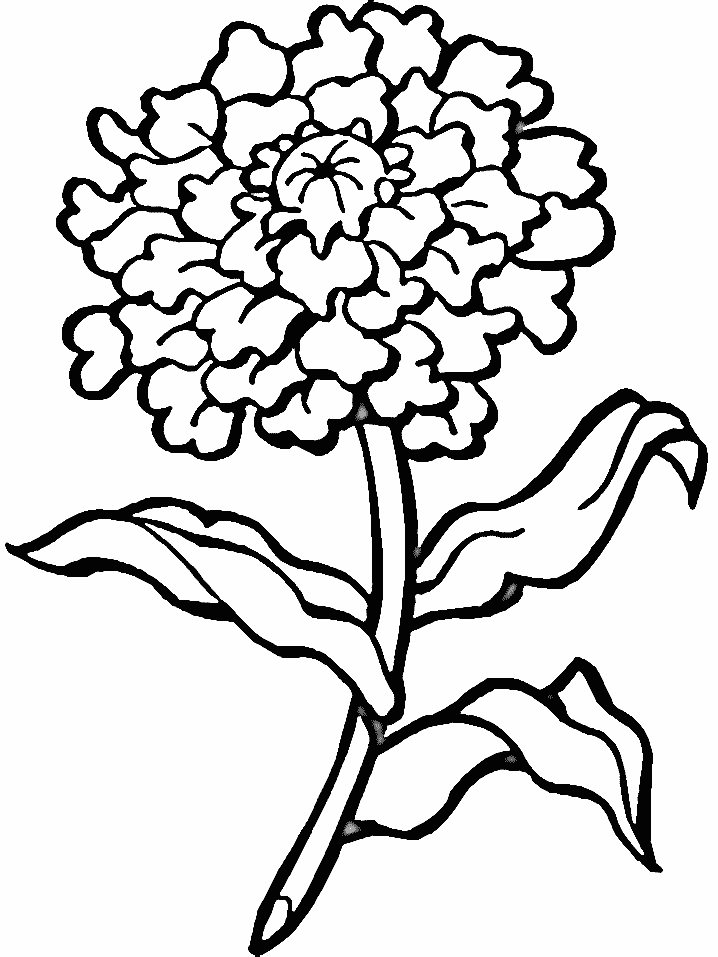 Coloriage Fleur - Fleurs à imprimer