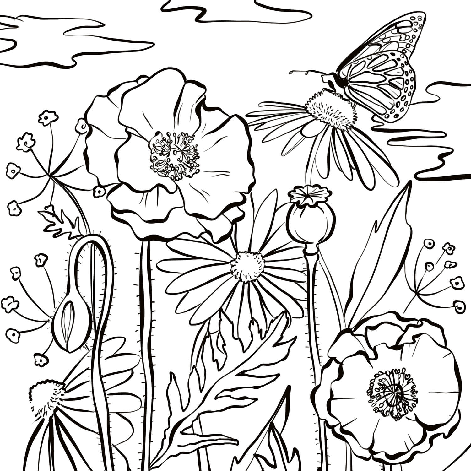 Coloriage Fleurs Tulipes Et Tulipa Pulchella - Tulipe à imprimer