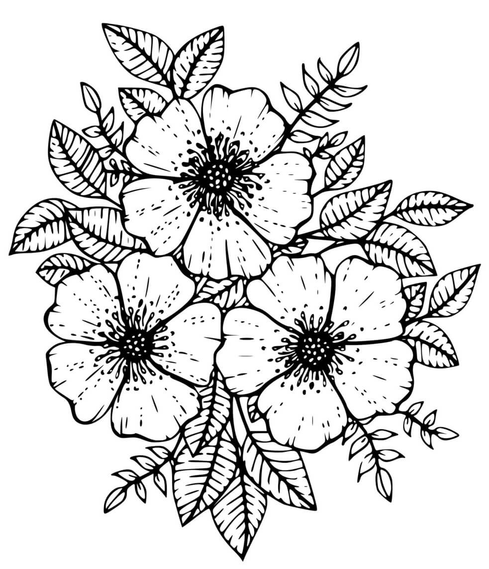 Coloriage Fleurs Tulipes Floral - Printemps à imprimer