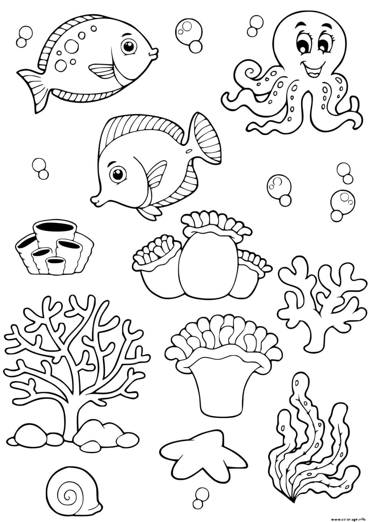 Coloriage Fond De Mer Animaux - Mer à imprimer