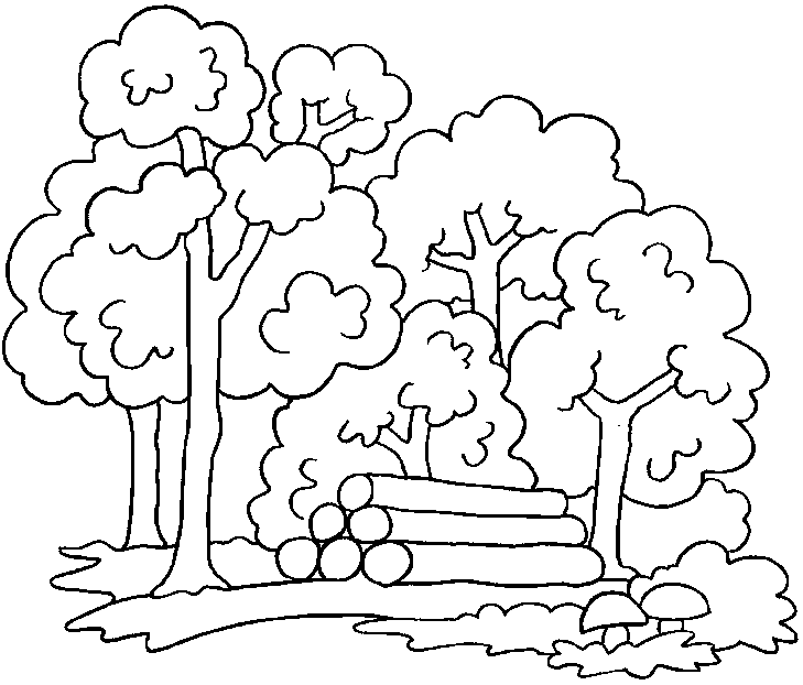 Coloriage Forêt Et Bois Coupe - Arbre à imprimer