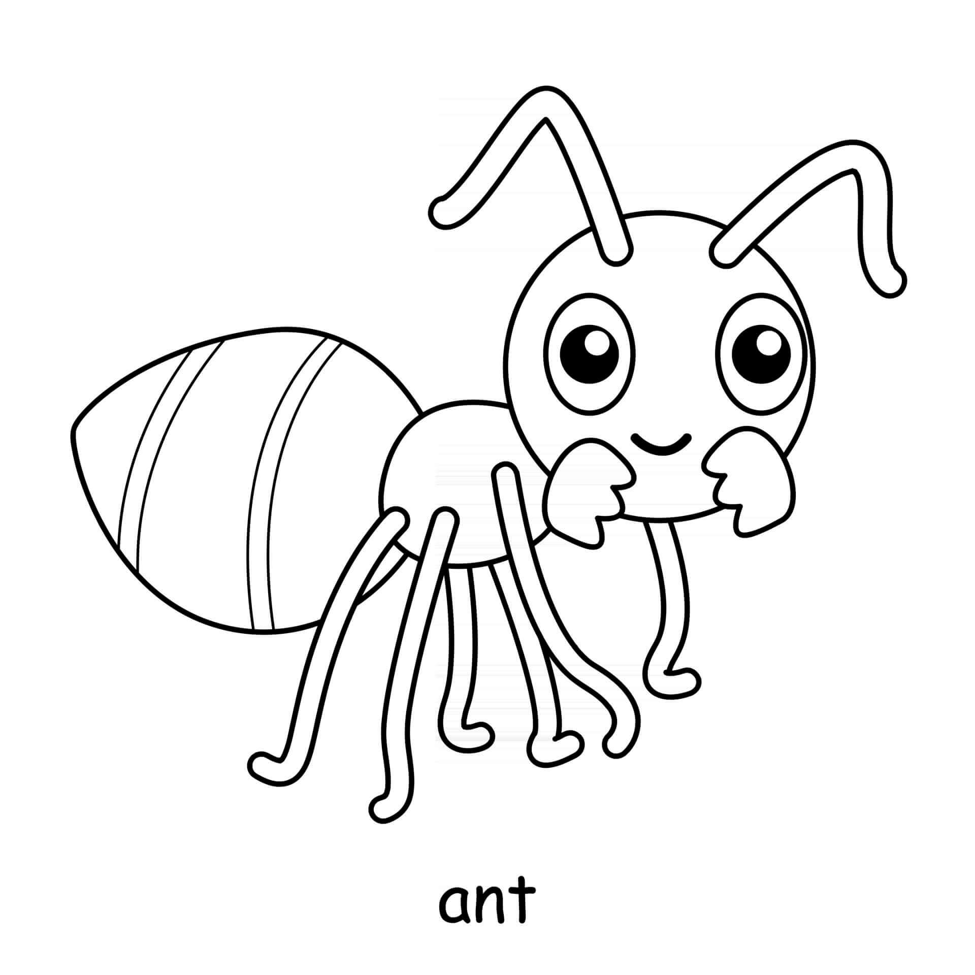 Coloriage Fourmis - Animal à imprimer