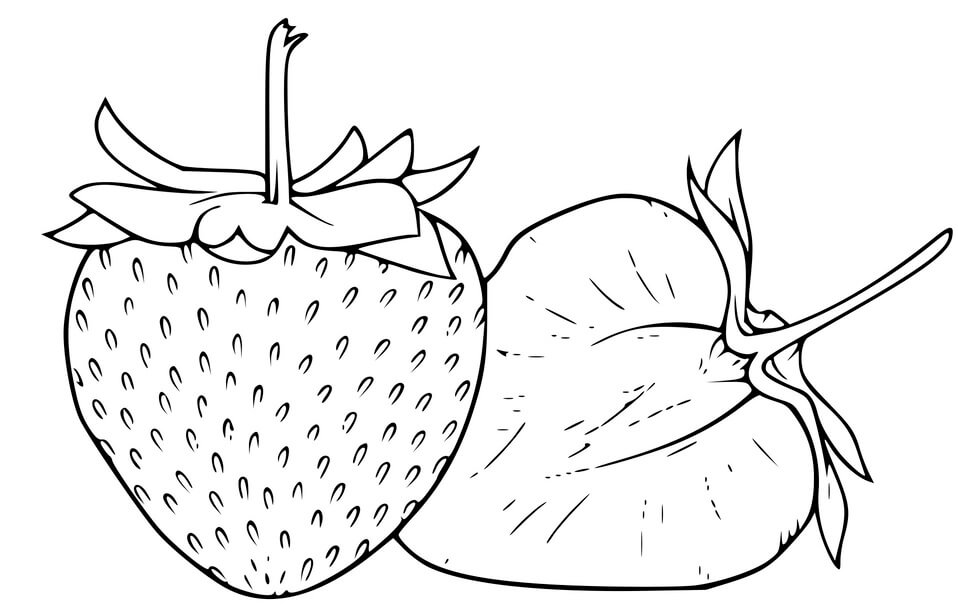 Coloriage Fraise Et Fraise Coupe Réaliste - Fraise à imprimer