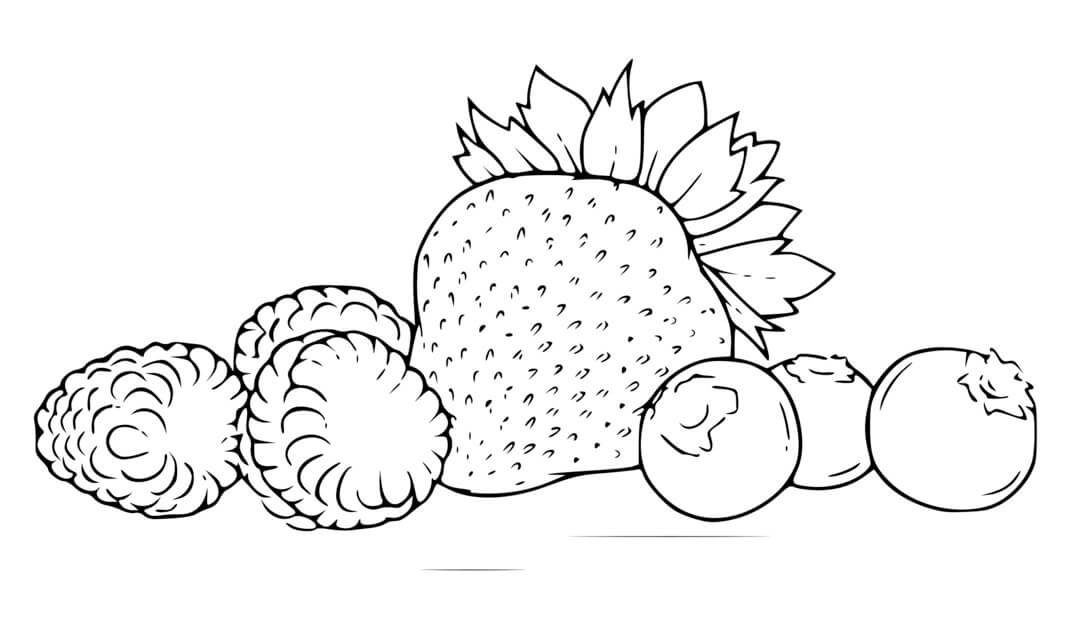 Coloriage Fraise Framboises Et Myrtilles - Fraise à imprimer