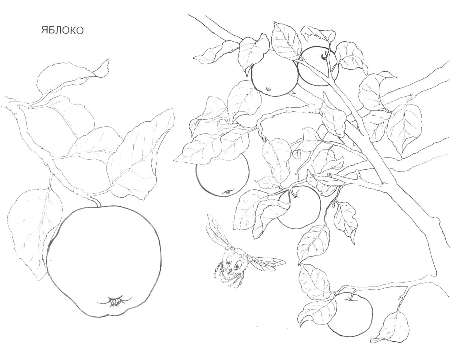 Coloriage Banane courbe avec texture granuleuse - Fruits à imprimer