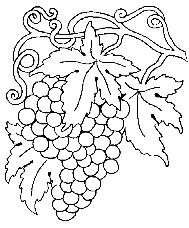 Coloriage Raisin en grappe avec pépins visibles - Fruits à imprimer