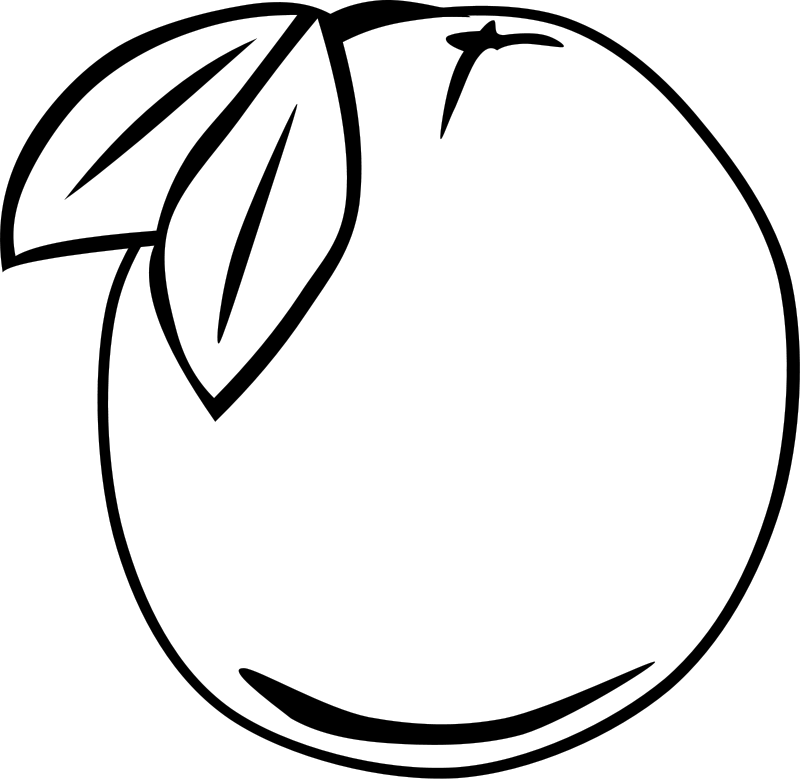 Coloriage Raisin en grappe succulente - Fruits à imprimer