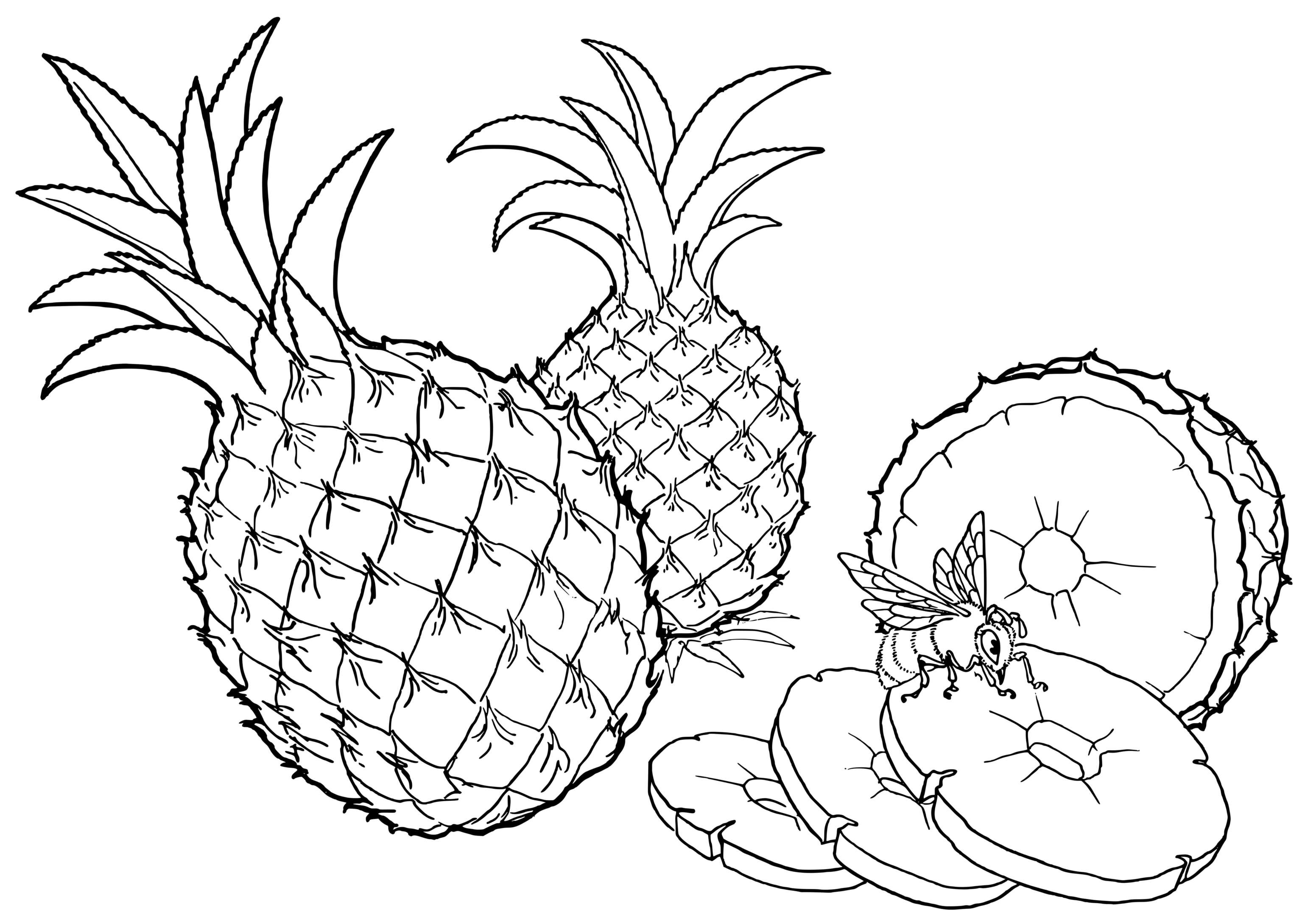 Coloriage Ananas