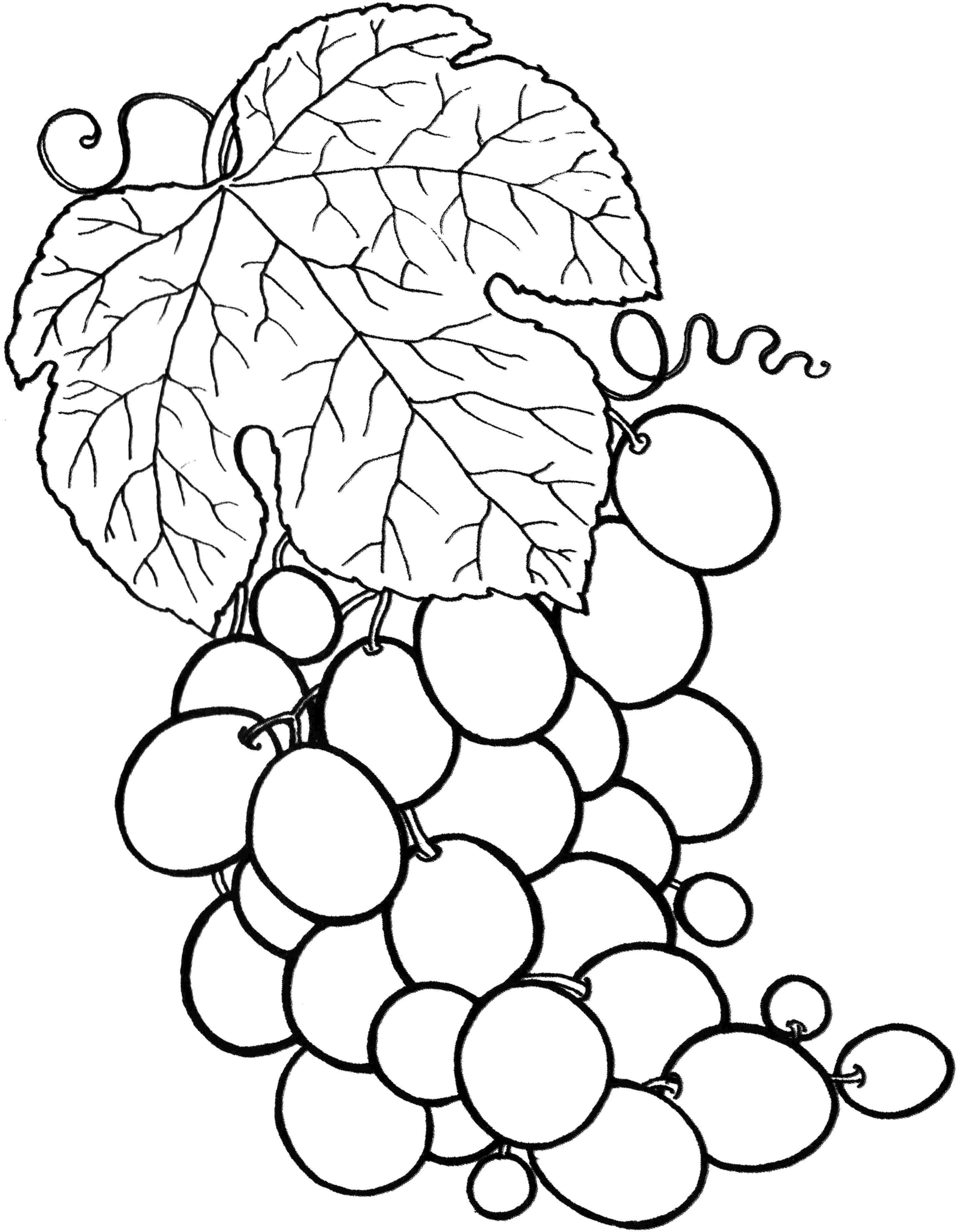 Coloriage Fruit Raisins Feuille - Fruits à imprimer